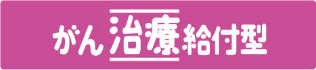 がん治療給付型